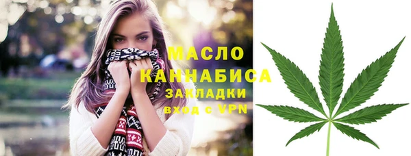 стафф Верхний Тагил