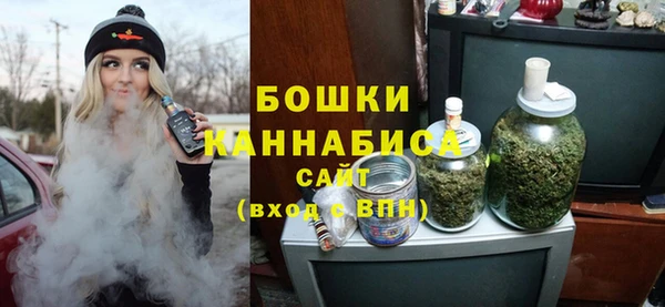 стафф Верхний Тагил