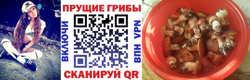Купить закладки Новая Ляля Псилоцибиновые грибы GOLDEN TEACHER